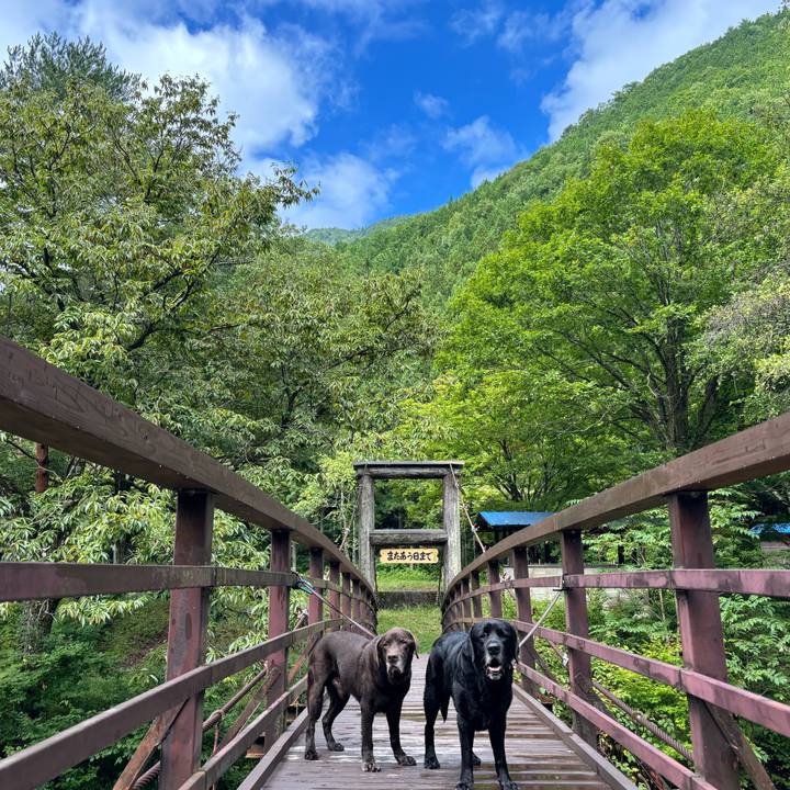 0bd2b7e0 d932 4b51 b36e c2c162a4298b 1758027153840