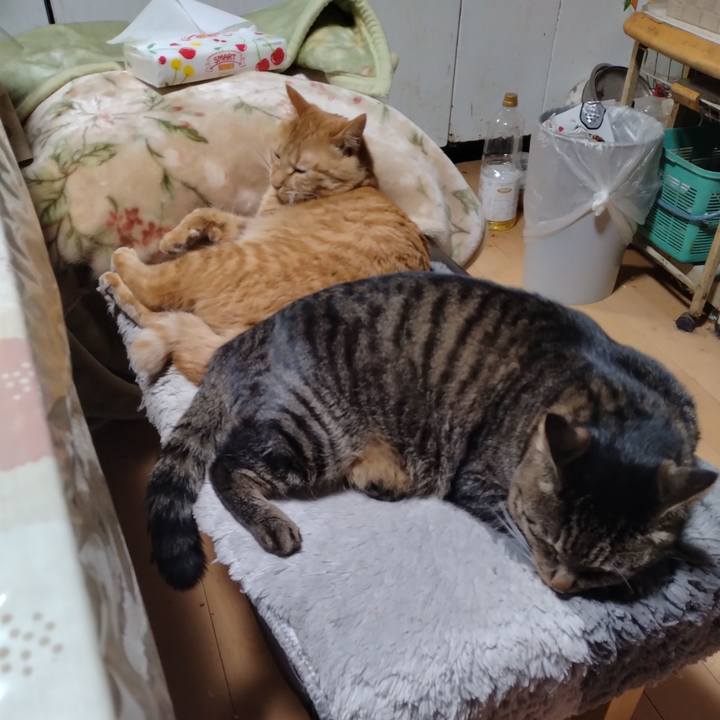 0bd2ca8f 1dd9 4643 87f6 a12f5de74f1a 1672818926585