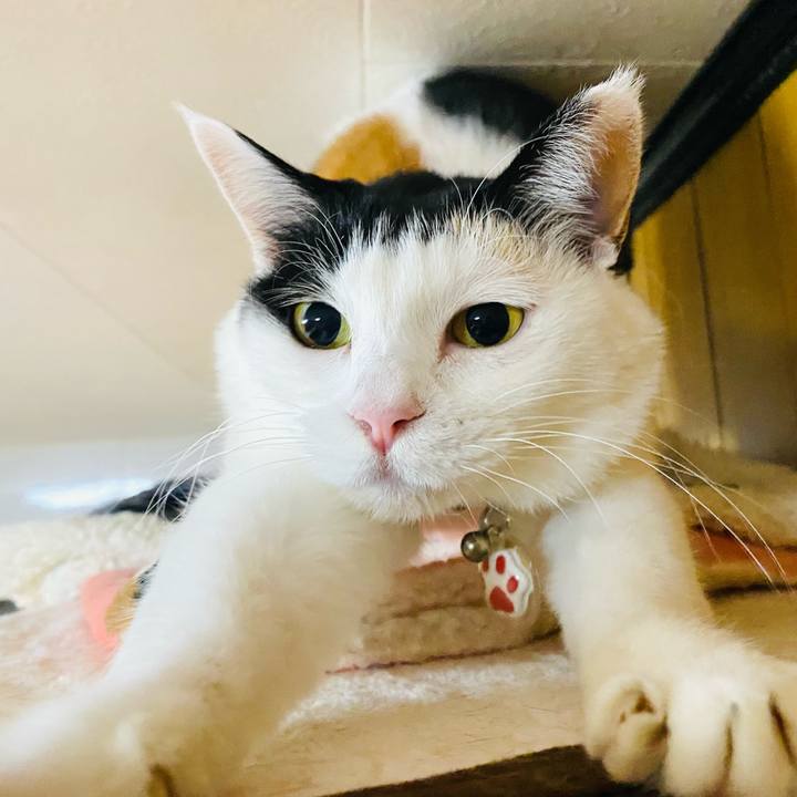 0bd2d071 87ba 4a8e 88a9 9878b7a9462d 1742306740009