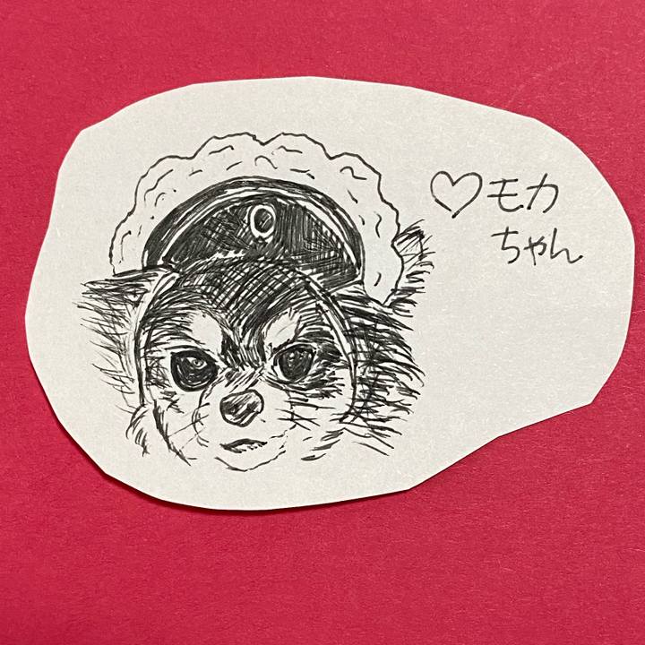 0bd2d71b e403 44f3 9da3 4bcf369dea27 1618804614498