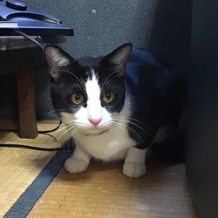 0bd331c3 127c 4845 ba2c 3ea4fda37f09 1645950614305