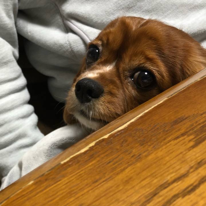 0bd36167 1056 4f3b a33f 952c9743611c 1607726145418