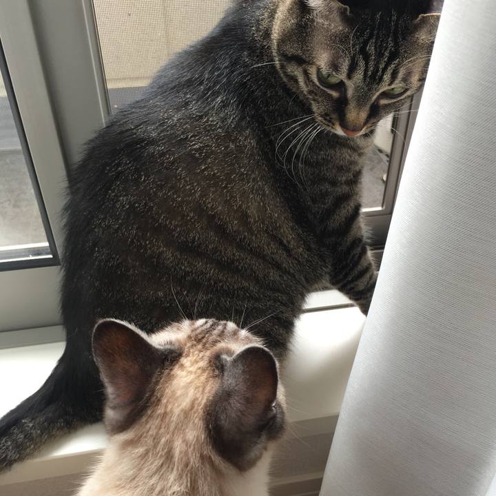 0bd3703b 65c0 4a0c 8612 4f6e0165f93d 1592870197419