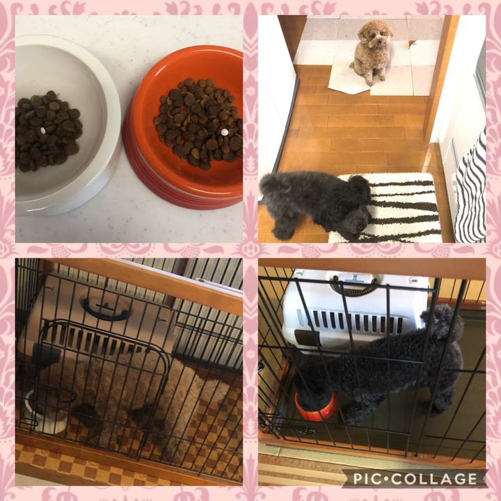 0bd3a3c2 7d61 4c49 b7ae 156f184ed90f 1604182283719