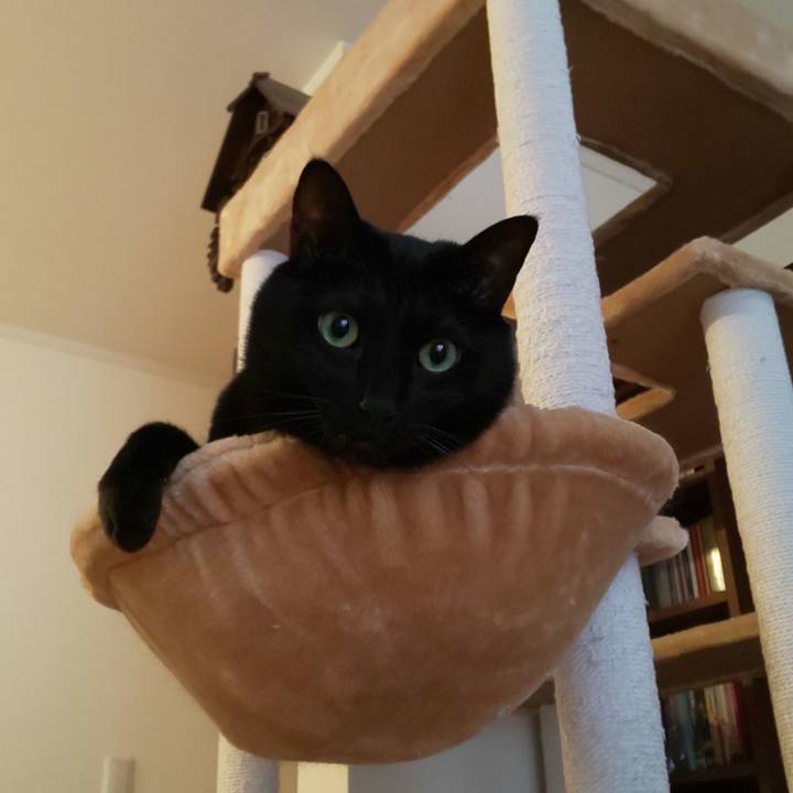 0bd3b3cb b4e2 4739 a843 226168ea809f 1647763828907