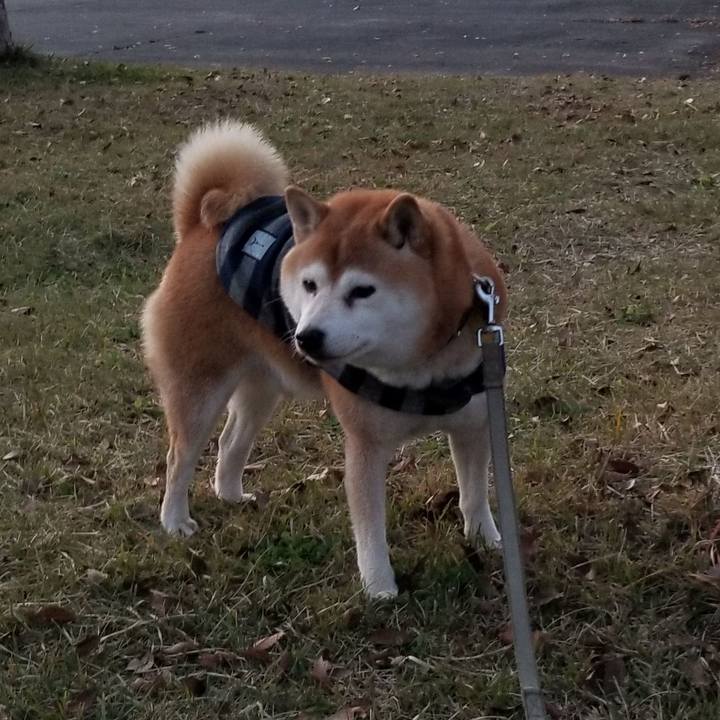 0bd40555 c26a 473b 97a2 cdd1040f21fa 1637394496798