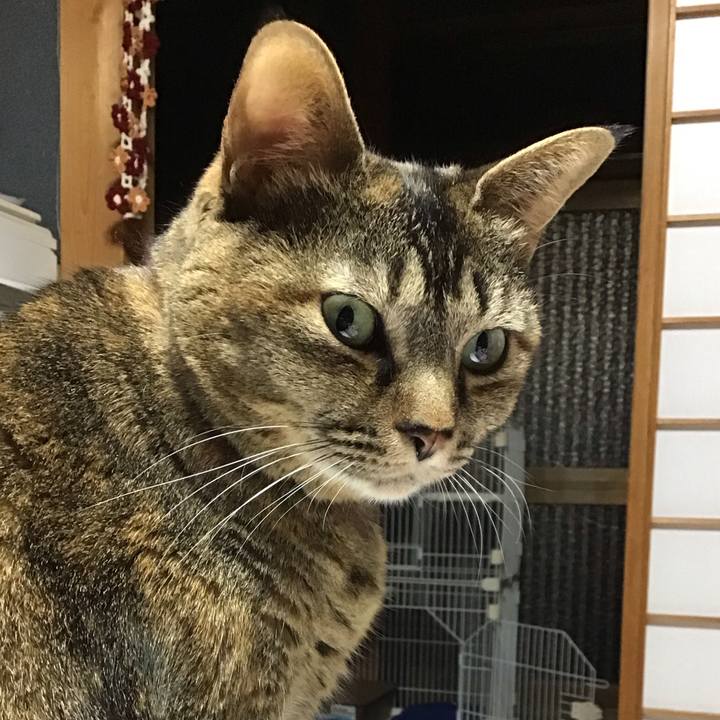 0bd440ee 283f 498d 9d93 05ed297f6614 1705052486205