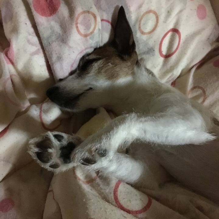 0bd457a8 87d1 4c95 b412 56ac1370a819 1560984176615