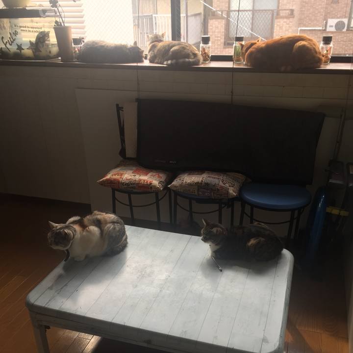 0bd471f7 0f0a 4d72 a919 1c618de4544f 1552699125880