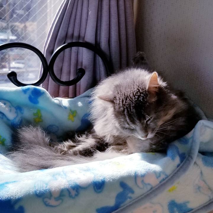 0bd4927d 07af 4a5e 9e36 437bc8d9a835 1547078170047