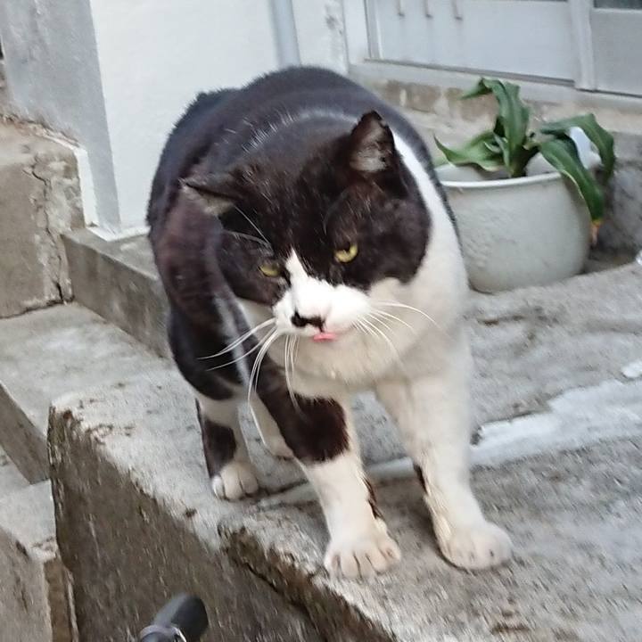 0bd4e8dc f237 4c41 b2c5 038c57739368 1648821564447