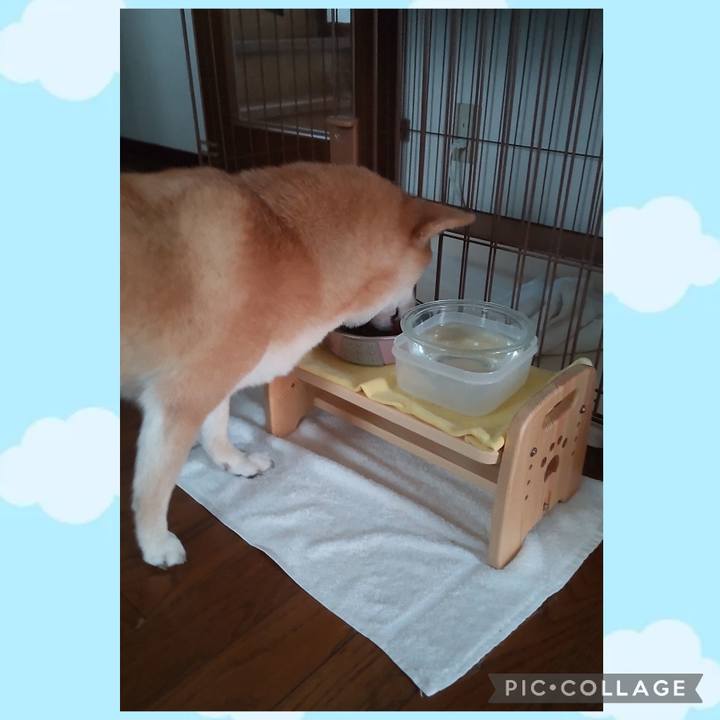 0bd4f3de 41a5 4260 ae0d b1d16cee6a92 1756433200067