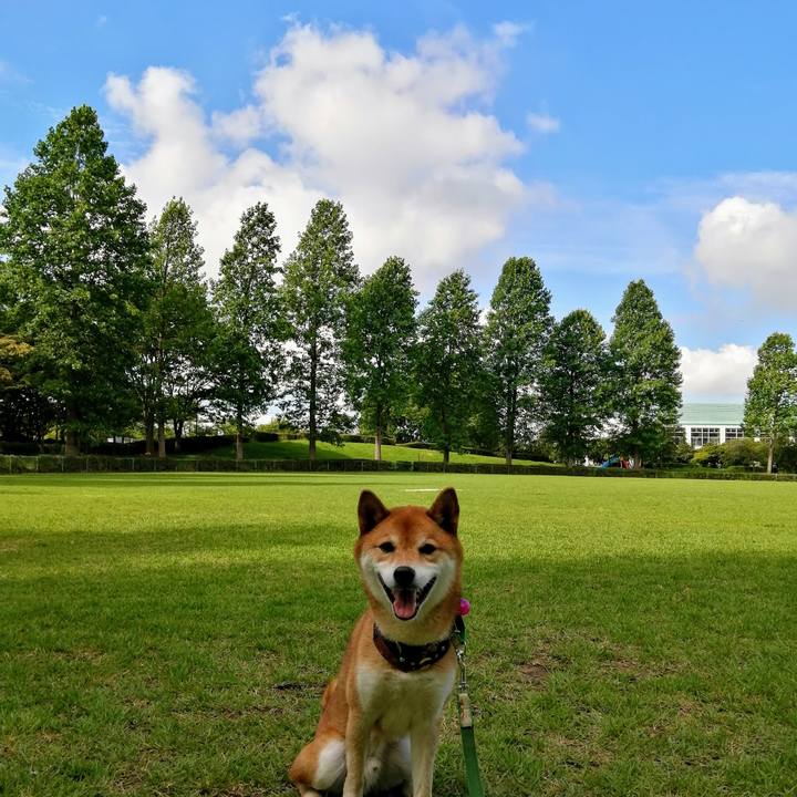 0bd552d6 8d13 4cd9 b1b8 d886c1e81962 1627001010622