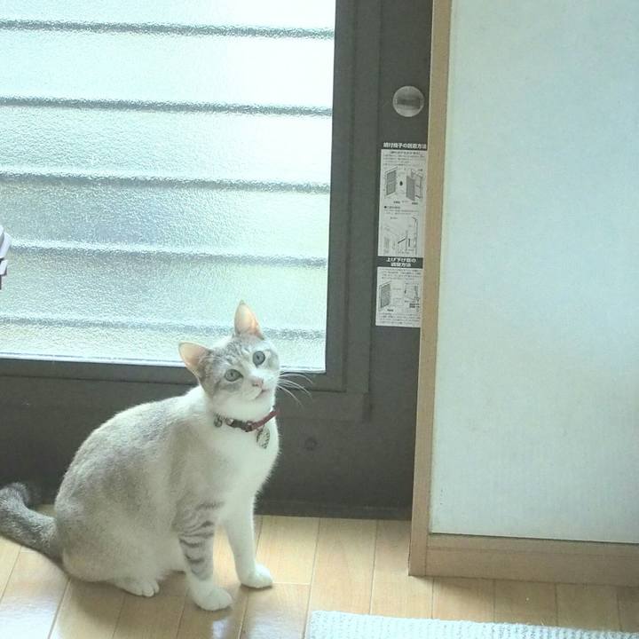 0bd555f8 379e 4131 856d 1ec038a917bc 1526728358711