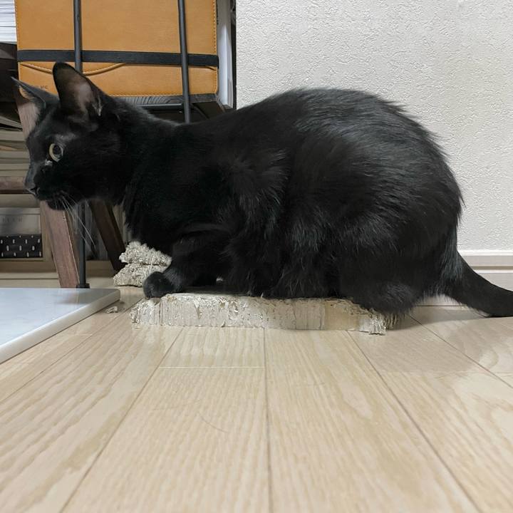 0bd5af5e 8c18 468b bd18 4bdf742aeeb0 1660913702479