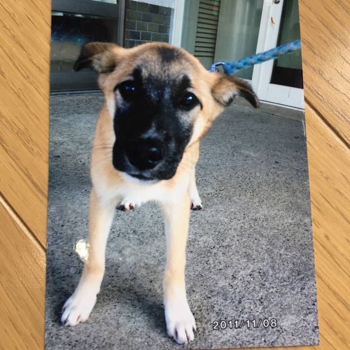 0bd5b13f bd38 41b4 a6b1 1d0570051d1a 1523752657544