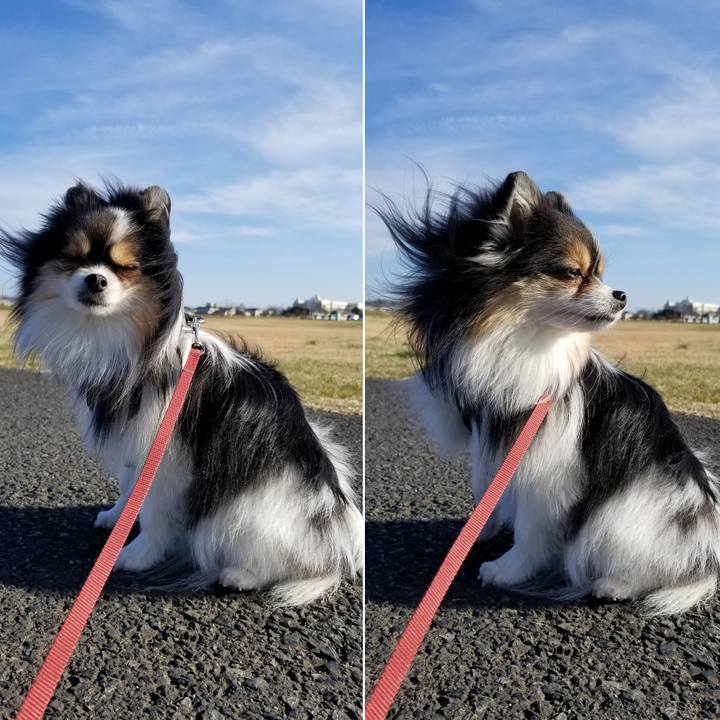 0bd5c55d c0dc 46e1 98d0 e816e861cb29 1552151064939