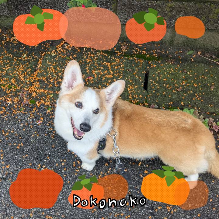 0bd5fcca aaf9 42d3 b59a a5f69bce188a 1761526613060