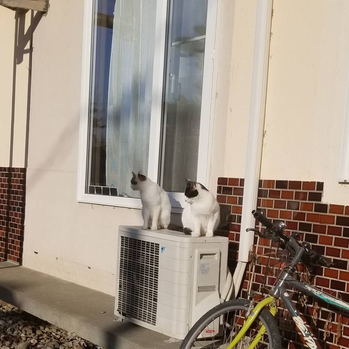 0bd600f3 fd4d 4189 b340 92984e6c6264 1573183376403