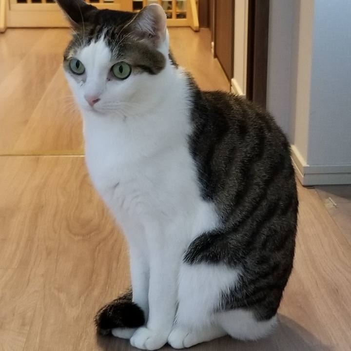 0bd607e0 eaf3 46d5 9ca4 289aaf4cb78f 1550808087183