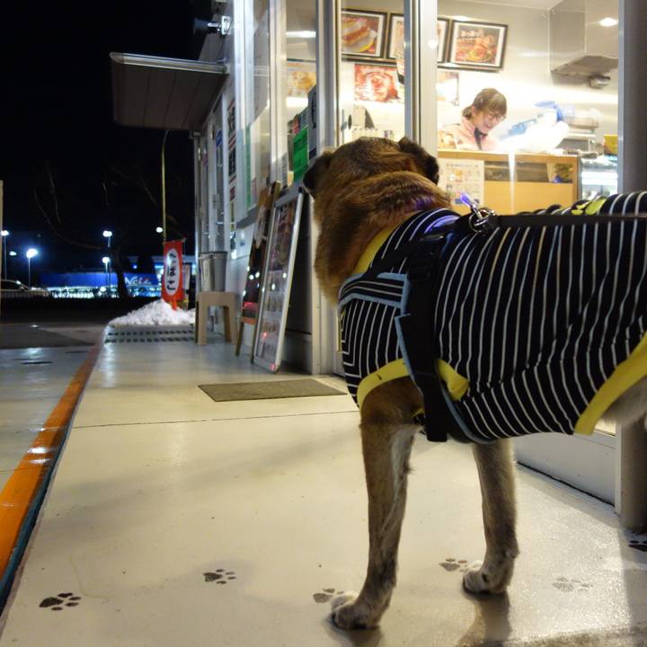 0bd612ad 31c5 43bf 9d8e 490dce3cd974 1628554673374