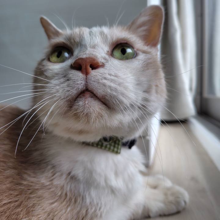 0bd613aa 1f95 4812 b5cb a800a34d4b60 1724106836831