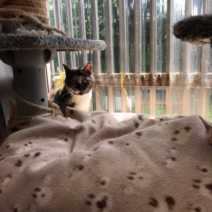 0bd617d9 91ec 49e5 bd1d 160d2a268e4a 1556791009586