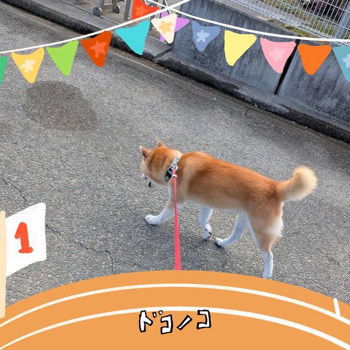 0bd6319a 202c 40f1 a91e 14fd11ce52ca 1762954674194