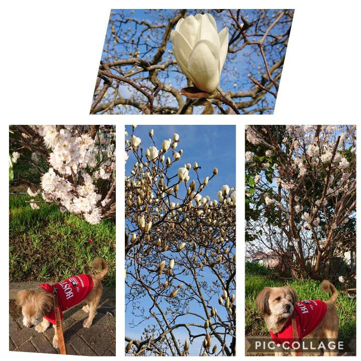 0bd688f8 ff81 47be b4e5 2099b4df1487 1583195483539