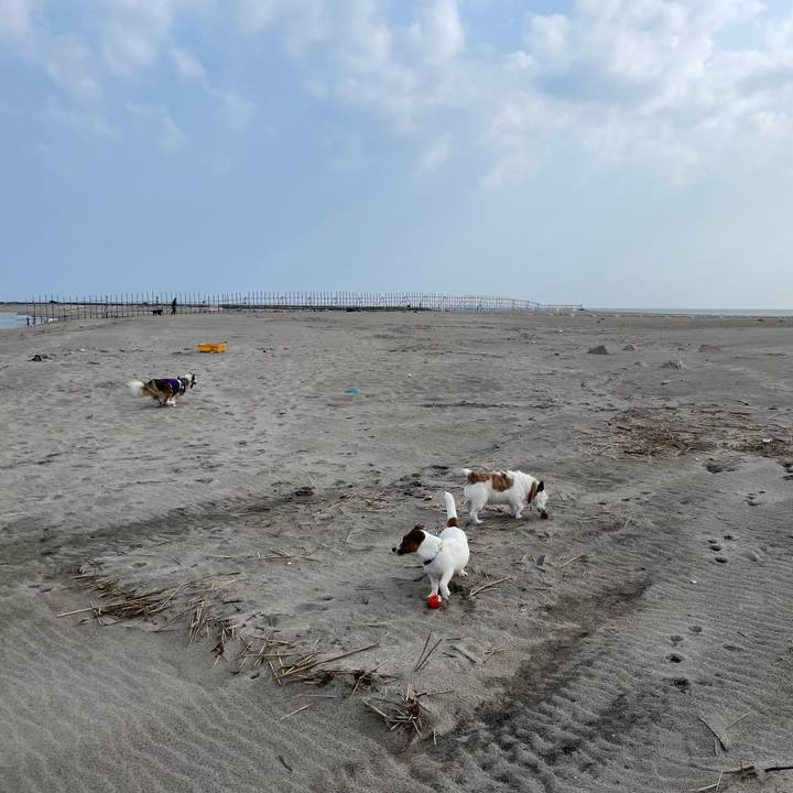 0bd6b6ba 9c80 4d5d b7d2 e4ed6509382c 1747788431891