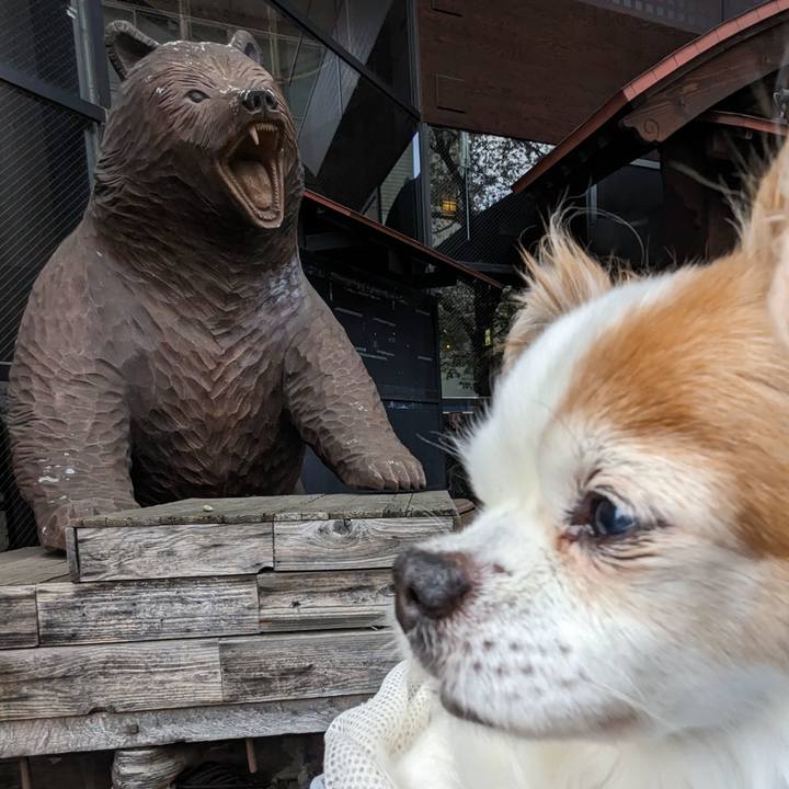 0bd7040c c294 4977 bbcd d4981927de3e 1680427886141