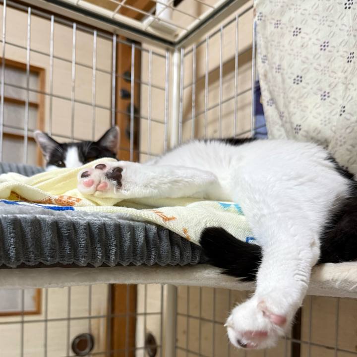 0bd72294 a984 4092 ba15 979c96fb0a28 1731460190472