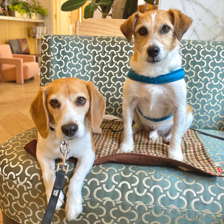 0bd73c6d 3ba3 4c5b b6dd 3ac186ce8d29 1715152844138