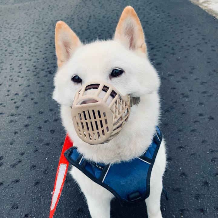 0bd751a8 72c4 44cc 9fe7 ecc0c97eff05 1625521316665