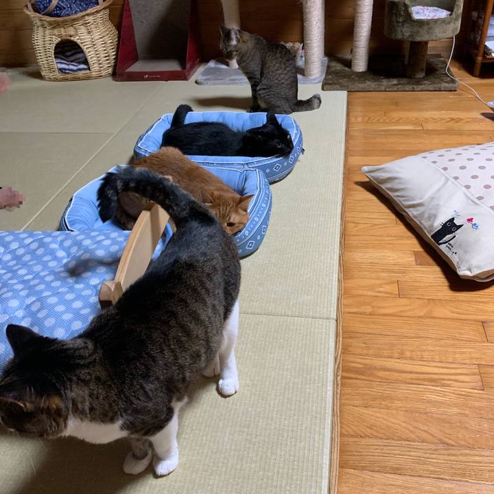 0bd760e7 403f 4393 9dbf 3b6d812c65c2 1565010721315