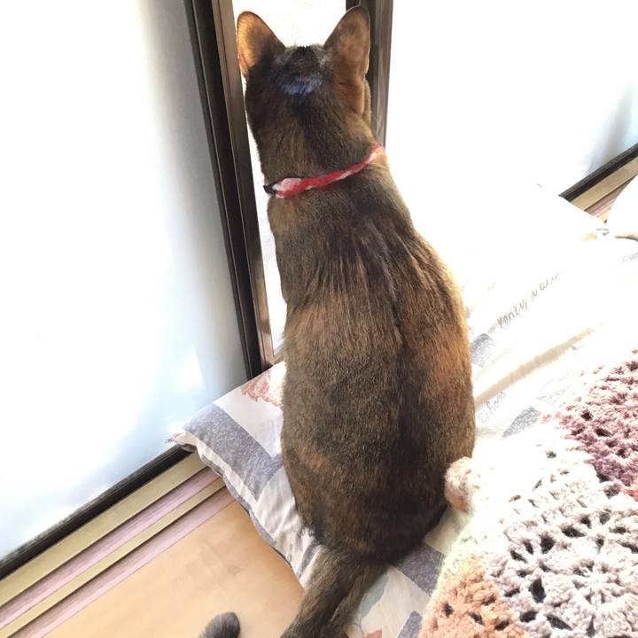 0bd7879d a864 4b11 b970 712d91f910d4 1608506182868