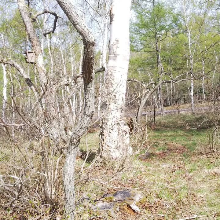 0bd7a1ed 1d6e 4288 9352 266ea5a96523 1525587044088