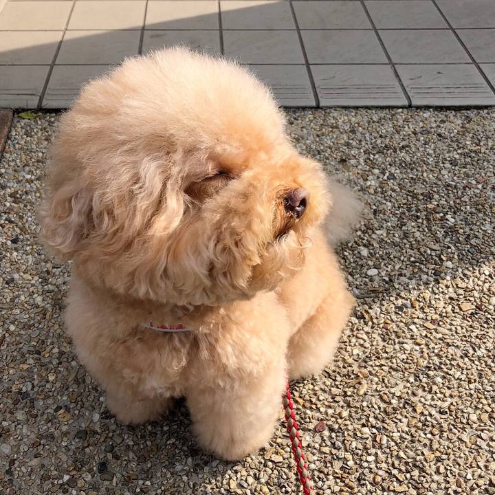 0bd7a385 3df0 4639 a87f b7212c48cca3 1516421163057