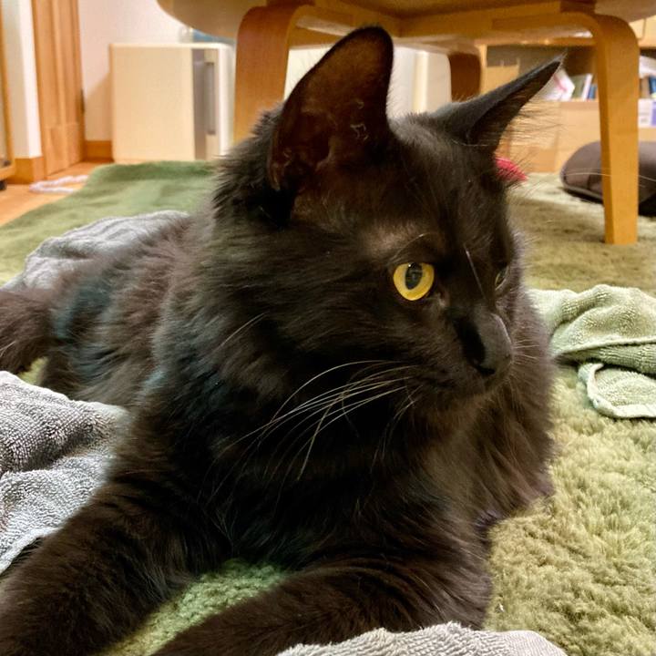 0bd85f2d 5daa 419f b91f 610dc49ebb4d 1717765221647