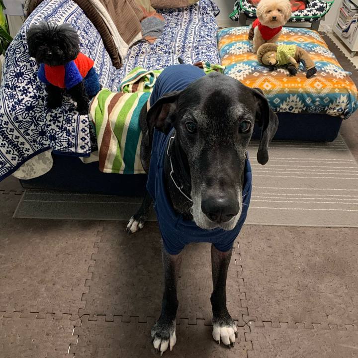 0bd881bc 5802 4106 893c 0dc6ceb18110 1577313857961