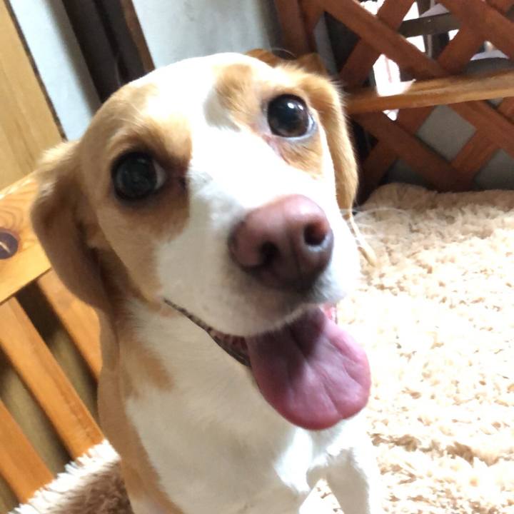 0bd89d1e 6788 4fc8 a1d7 a4506d9dce34 1559530166701