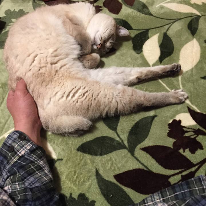 0bd8a736 e608 40dd a973 768e22860fe3 1580477742324