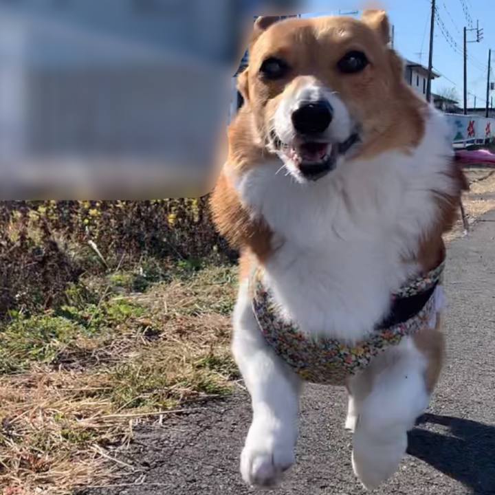 0bd8b5e3 0c8e 444d bed5 69a25bc36c2b 1676856451149