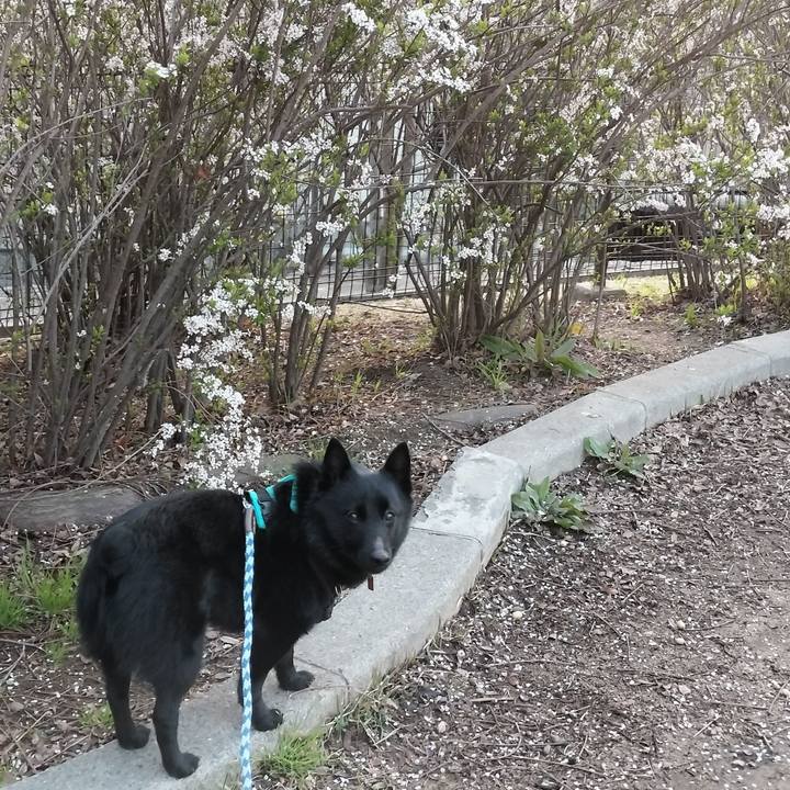 0bd8e0c3 8fd2 48f9 8948 5bdbee819da7 1710712570865