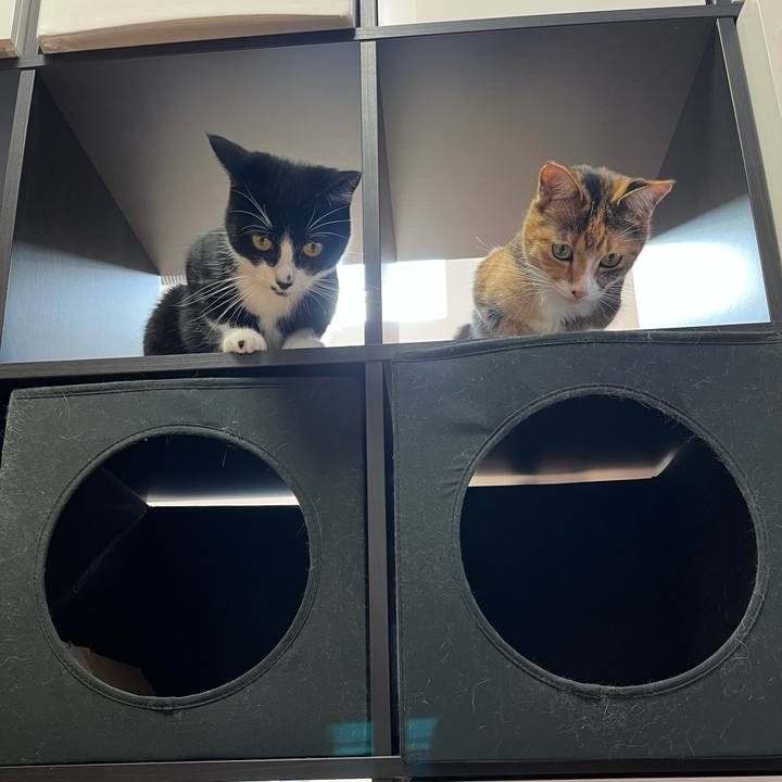 0bd8ebca 08c8 4306 ac8e e3c2af6571b4 1656287382106