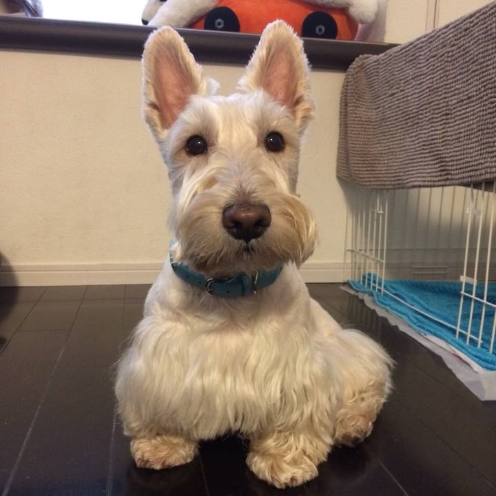 0bd8ebe6 9bf3 4740 a616 00bdf0cff954 1509152091595