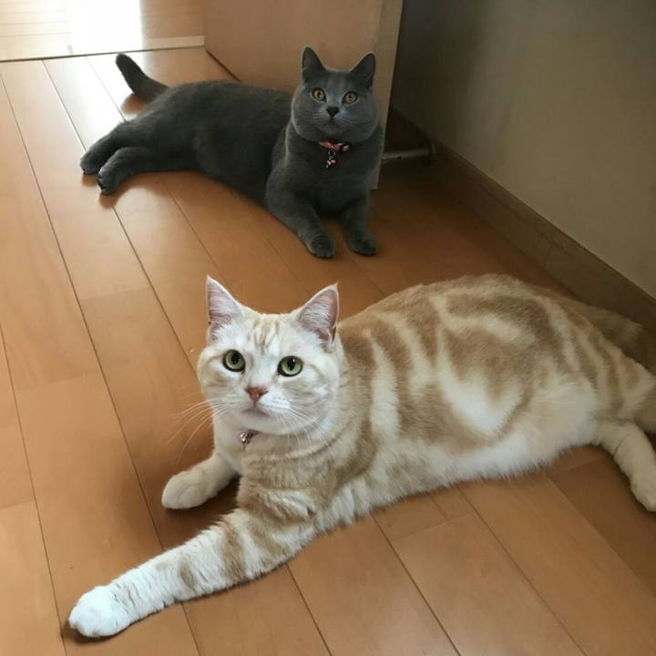 0bd91c1f fa27 42f3 be1e 00cdb3aee3cf 1523064724144