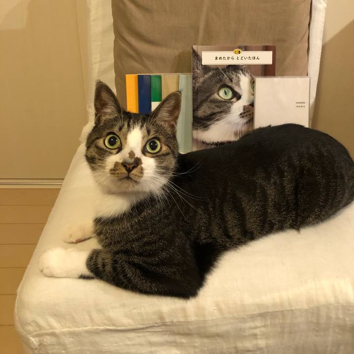 0bd9a558 f2bd 4f12 aeaa 7003acb0e3dd 1534586780223