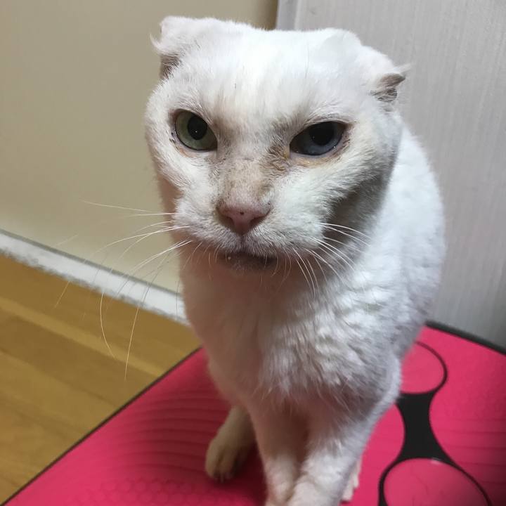 0bd9b322 1685 47c2 835f 8080bf2dbf82 1547819774131