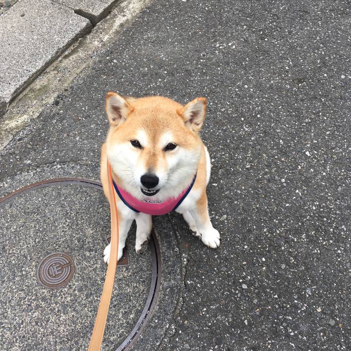 0bd9f95a 747d 43a4 82a5 667abc88de29 1562633449098